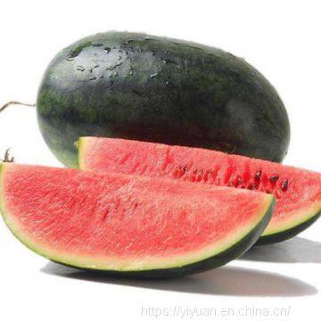 Watermelon F1 Hybrid Sweet Melon Seeds Fruit Seeds No.89 photo-2