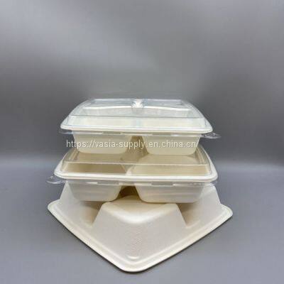 Light bagasse Sugarcane serving Tray-4 Compartment with PET Lids biodegradable lunch tray
