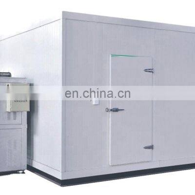 CE Broccoli Fruit and Vegetable Processing Machine Price