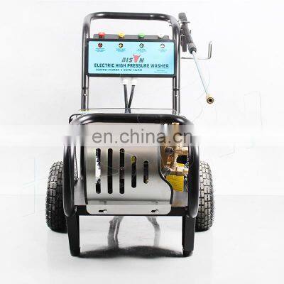 BISON Commercial Power 220V 3600Psi 250 Bar Car Washer Water Jet Electric High Pressure Washer photo-2