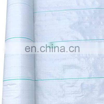 PP Weed Mat Fabric for Ground Sheet Cover Usage photo-5