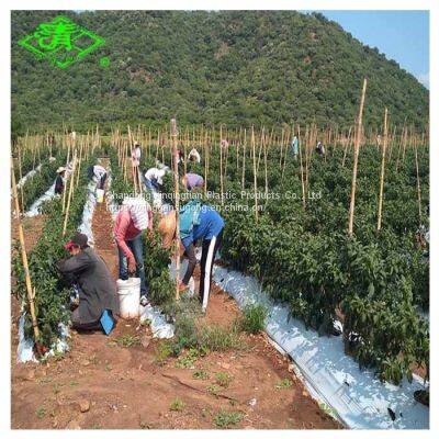Factory Direct Sales of Silver Shine Plastic Mulch Films
