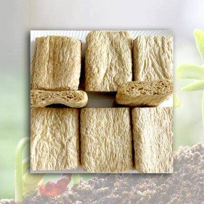 Vegetable Protein Fiber Meat Alternative Bulk Textured Vegetable Protein (TVP) for Cooking Thickener and Chewing Gum Base photo-1
