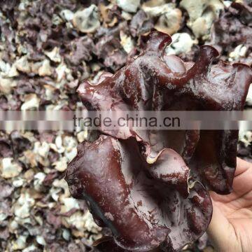 IQF Black Fungus photo-5