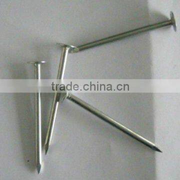 hot dipped galvanized common nails