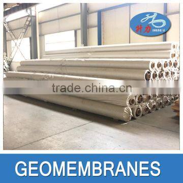 HDPE Geomembrane/Geomembrana for Civil Construction