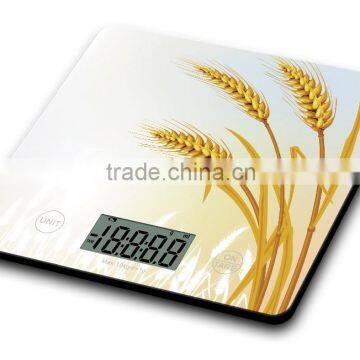 kitchen scale Low Cost 10KG/22 LBS Capacity High Precision Perfect Design