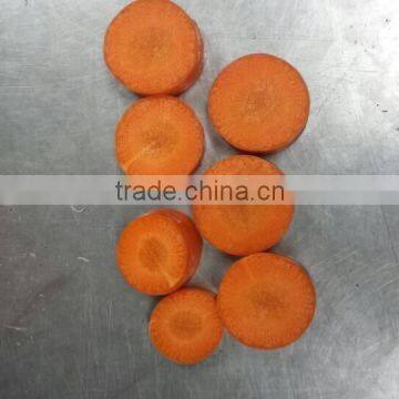Fresh Carrot/bulk Carrot /fresh Red Carrot