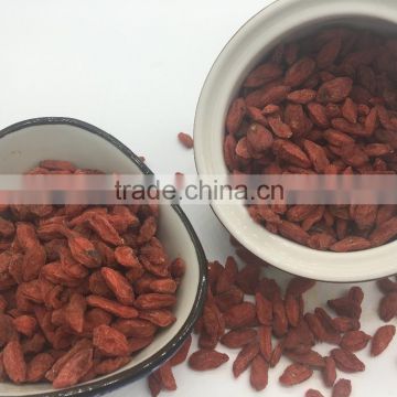 Goji Berries Dried For Human Consumption