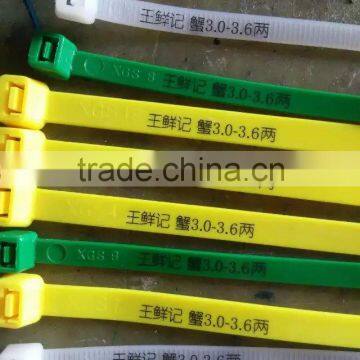 Producing Hot Selling Self-locking 8*400 PA66 Nylon Twist Ties With UL photo-4