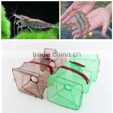 Australia Classic Folding Fishing Shrimp Trap Quality Choice photo-3