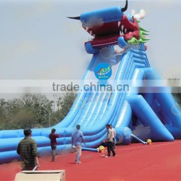 Extreme Giant Inflatable Water Slide