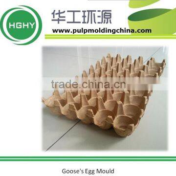 Pulp Goose's Egg Tray Mold