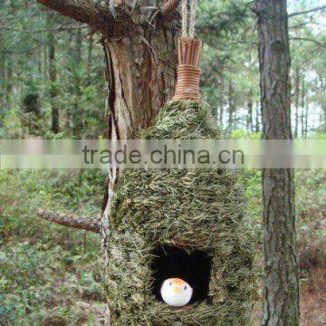 natural pine roosting pocket