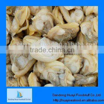 frozen boiled clam meat