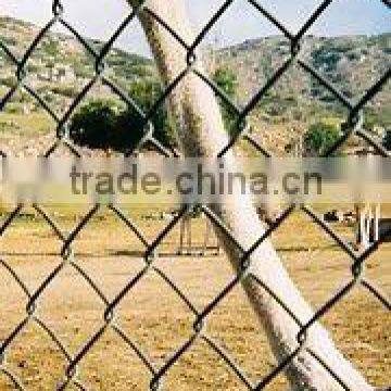 pvc coated chain link fence,diamond netting,chain link mesh fence