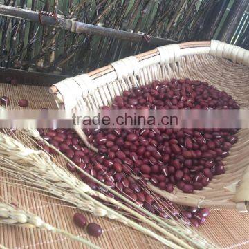 Chinese New Crop Red Adzuki Bean photo-2
