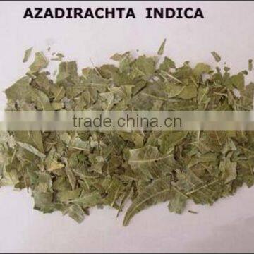 Neem Oil