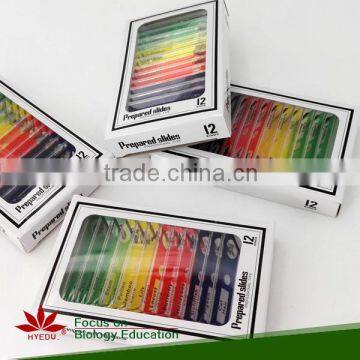Prepared Slides , Insecta W.m. Slides,Glass Colorful Prepared Slides photo-2