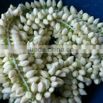 Jasmine Garland Supplier