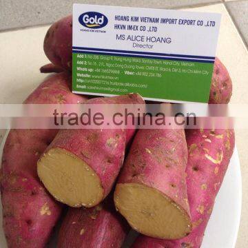 Export fresh sweet potato bulk