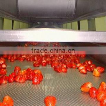 Superior quality frozen strawberry in 2016 crops