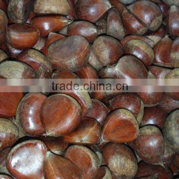 chestnut Dandong China