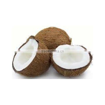 Fresh Coconut