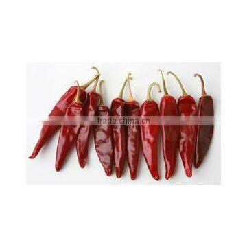 RED CHILI FROM GUJARAT photo-5