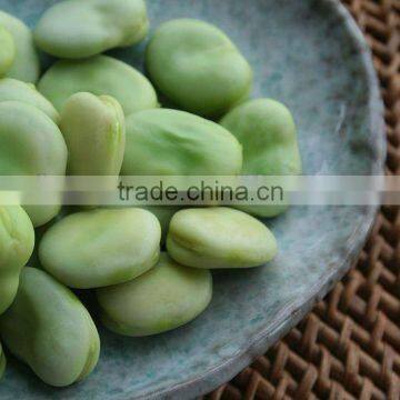 Nutrition Vicia faba/fava beans Extract Powder for sell