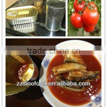 Top Quality Canned Mackerel in Tomato Sauce Canned Fish