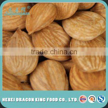 Apricot Kernel Seeds