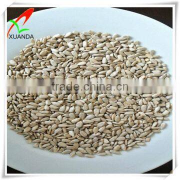 Sunflower Seed Kernels Bakery American Goods photo-2
