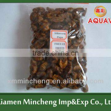 silkworm pupae