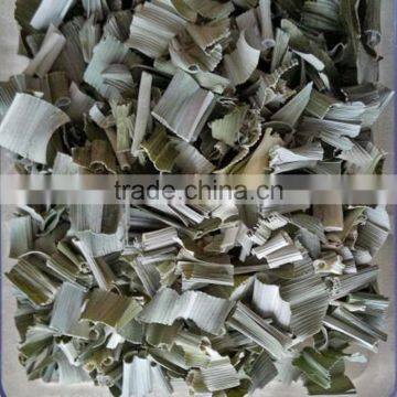Organic Pandan Leaves Sell in Bulk photo-2