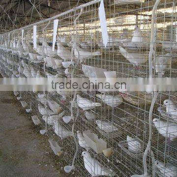 3 Layers 12 Doors Pigeon Cages for Poultry Farm photo-2