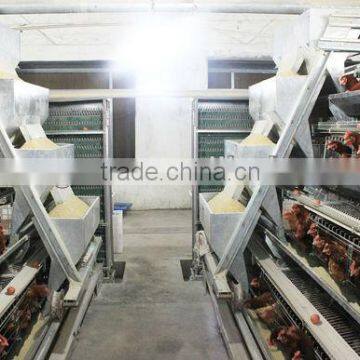 low noise Automatic chicken feeding machine for breeding farms