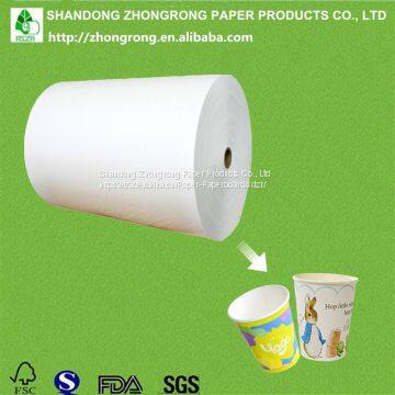 PE coated cup stock paper big roll