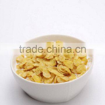 Factory in Jinan China Competitive Original Corn Flakes Machine photo-5