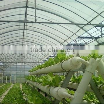 Agriculture PE Film vegetable greenhouse