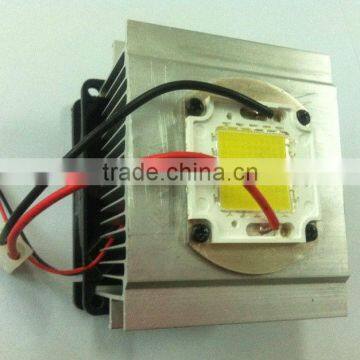 Pure aluminum heat sink ,waterproof power suppluy ,secondary optoiclal grass lens and reflector ,fans integrate led chip for DIY