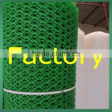 2016 Best Selling Green Color Plastic Flat Net Supplier (20 Years Factory) photo-3