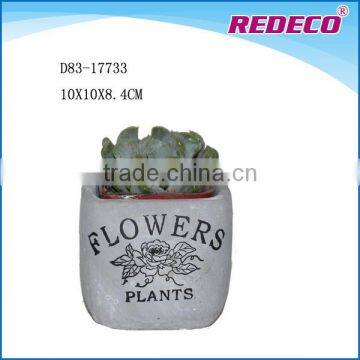 New design square shape mini cement pots for plants