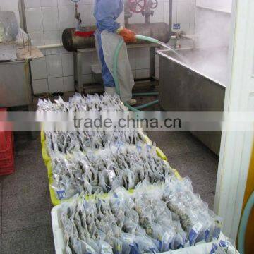 Good Quality Short Necked Clams photo-3