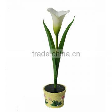 Solar-power Garden Calla Lamp LS Eplus