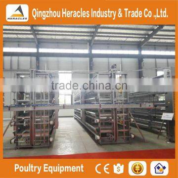 High Quality Cheap Poultry Cage Layer Chicken Used Chicken Cage photo-3