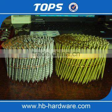 Galvanized Twisted/Ring Shank Coil Nails