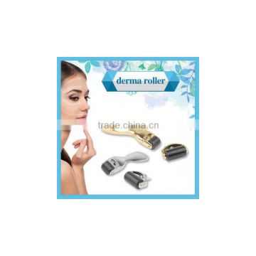 Personal use anti hair loss 600 stainless micro needles changeable head derma roller kit L013