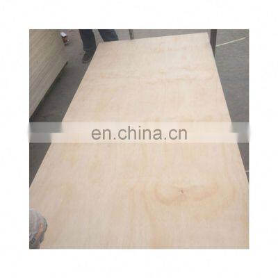 Good Quality Plywood for Package photo-2