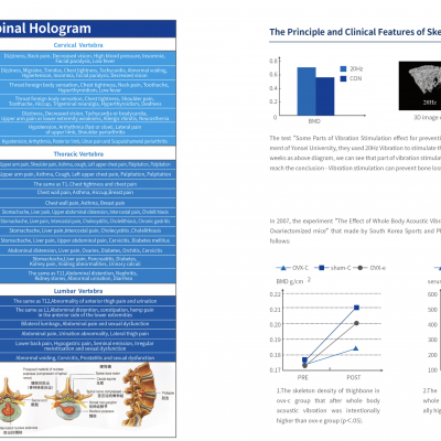 Massage Bed Therapy Table for Spinal Care TEINYO photo-5